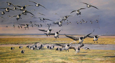 Wildfowl paintings - Geese